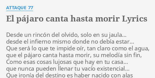 EL PÁJARO CANTA HASTA MORIR LYRICS by ATTAQUE 77 Desde un rincón del