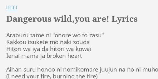 Dangerous Wild You Are Lyrics By 中川翔子 Araburu Tame Ni Onore