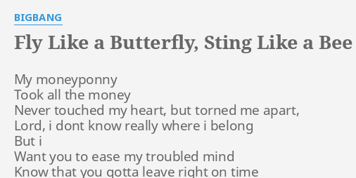 Fly Like A B Erfly Sting Like A Bee Lyrics By Bigbang My Moneyponny Took All