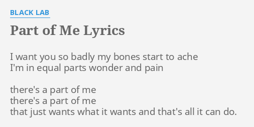 Part Of Me Lyrics By Black Lab I Want You So