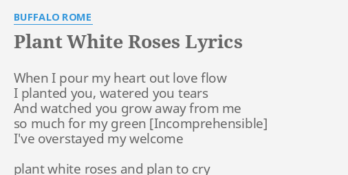 Plant White Roses Lyrics By Buffalo Rome When I Pour My 5 years ago5 years ago. plant white roses lyrics by buffalo