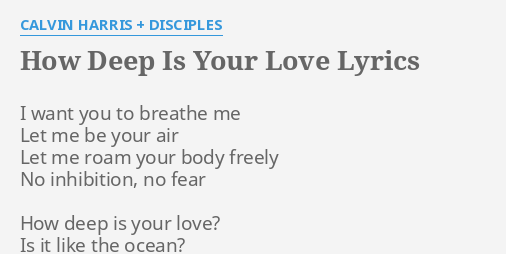 Calvin Harris & Disciples – How Deep Is Your Love Lyrics