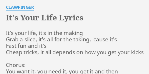 It S Your Life Lyrics By Clawfinger It S Your Life It S