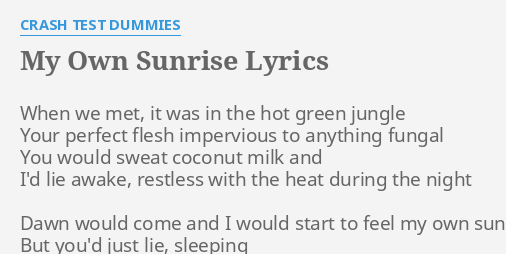 Download My Own Sunrise Lyrics By Crash Test Dummies When We Met It