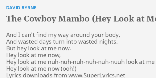 The Cowboy Mambo Hey Look At Me Now Lyrics By David Byrne And I Can T Find