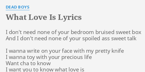 What Love Is Lyrics By Dead Boys I Don T Need None