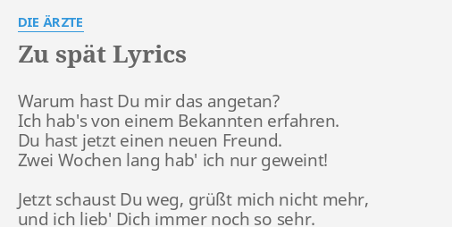 Zu Spat Lyrics By Die Arzte Warum Hast Du Mir