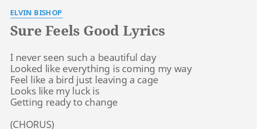 Sure Feels Good Lyrics By Elvin Bishop I Never Seen Such