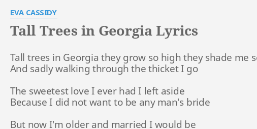 tall-trees-in-georgia-lyrics-by-eva-cassidy-tall-trees-in-georgia