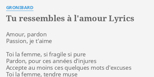 Tu Ressembles A L Amour Lyrics By Gronibard Amour Pardon Passion Je