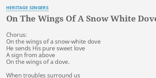 On The Wings Of A Snow White Dove 63