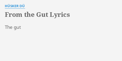 From The Gut Lyrics By HÜsker DÜ The Gut 9213