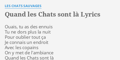 "QUAND LES CHATS SONT LÀ" LYRICS by LES CHATS SAUVAGES: Ouais, tu as des...