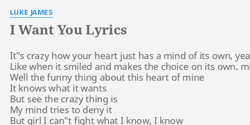 I Want You Lyrics By Luke James It S Crazy How Your