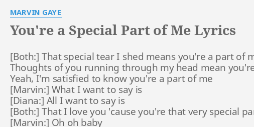 you will always be a special part of me lyrics