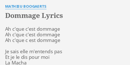 dommage-lyrics-by-mathieu-boogaerts-ah-c-que-c-est-dommage