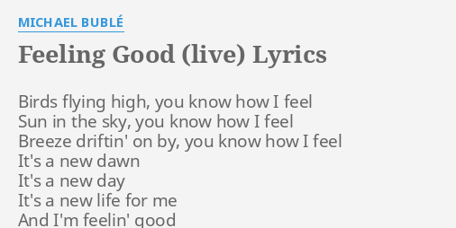 Feeling Good Live Lyrics By Michael Buble Birds Flying High You