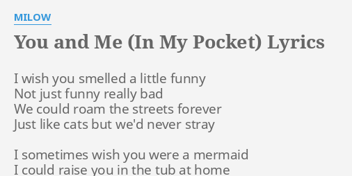 You And Me In My Pocket Lyrics By Milow I Wish You Smelled