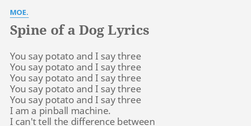 Spine Of A Dog Lyrics By Moe You Say Potato And