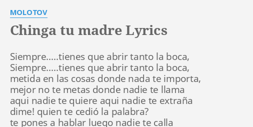 Molotov Chinga Tu Madre Lyrics Translation