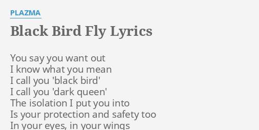 Black Bird Fly Lyrics By Plazma You Say You Want Sat along the bay watched the stars in the sky seems like yesterday that you were by my side if i could give would you still want me and would you forgive oh why did you have to go out of my life never got the chance to say goodbye. flashlyrics