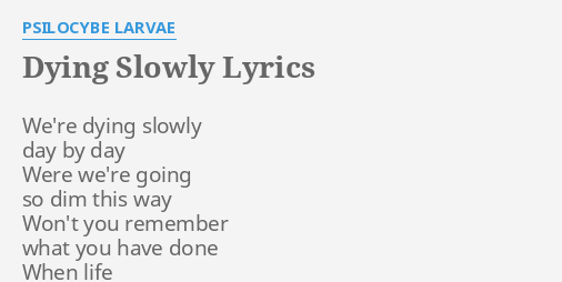 dying-slowly-lyrics-by-psilocybe-larvae-we-re-dying-slowly-day