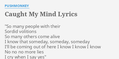 caught-my-mind-lyrics-by-pushmonkey-so-many-people-with