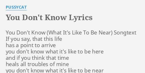 You Don T Know Lyrics By P Cat You Don T Know Songtext