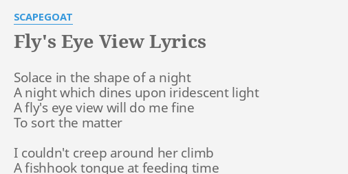 hollyn bird's eye view lyrics