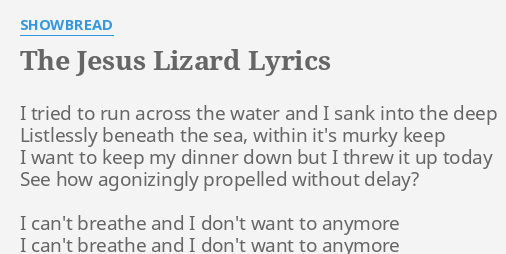 the-jesus-lizard-lyrics-by-s-ead-i-tried-to-run