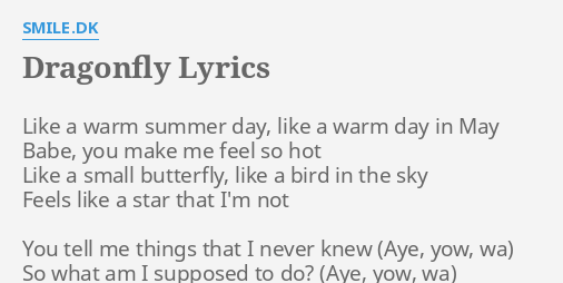 Dragonfly Lyrics By Smile Dk Like A Warm Summer