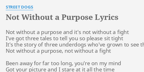 Not Without A Purpose Lyrics By Street Dogs Not Without A Purpose