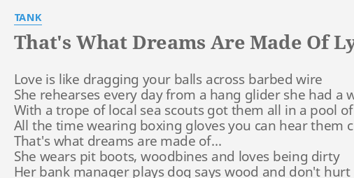 the stuff that dreams are made of lyrics meaning