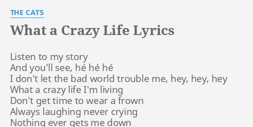 What A Crazy Life Lyrics By The Cats Listen To My Story