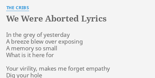 We Were Aborted Lyrics By The Cribs In The Grey Of