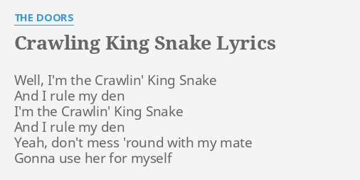 Crawling King Snake Lyrics By The Doors Well I M The