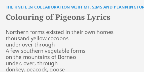 Colouring Of Pigeons Lyrics By The Knife In Collaboration With Mt Sims And Planningtorock Northern Forms Existed In