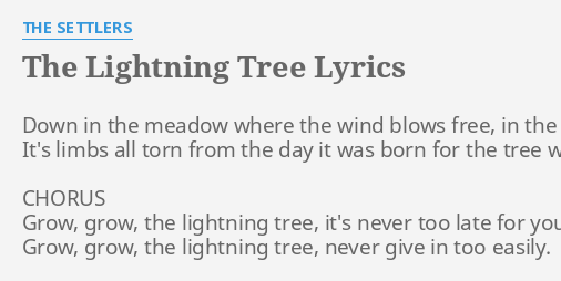 THE LIGHTNING TREE