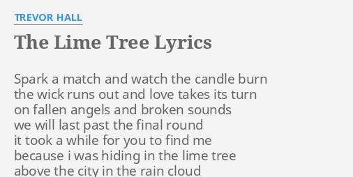 The Lime Tree Lyrics By Trevor Hall Spark A Match And