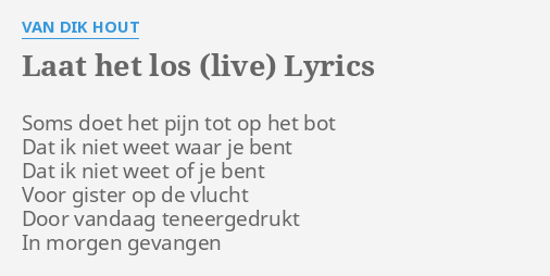 "LAAT HET LOS (LIVE)" LYRICS By VAN DIK HOUT: Soms Doet Het Pijn...