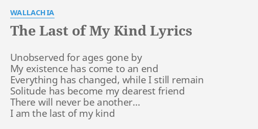 i'm the last of my kind lyrics