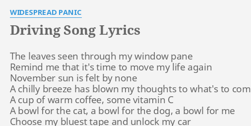 driving-song-lyrics-by-widespread-panic-the-leaves-seen-through