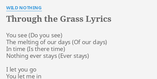 Wild Nothing - Through The Grass Lyrics